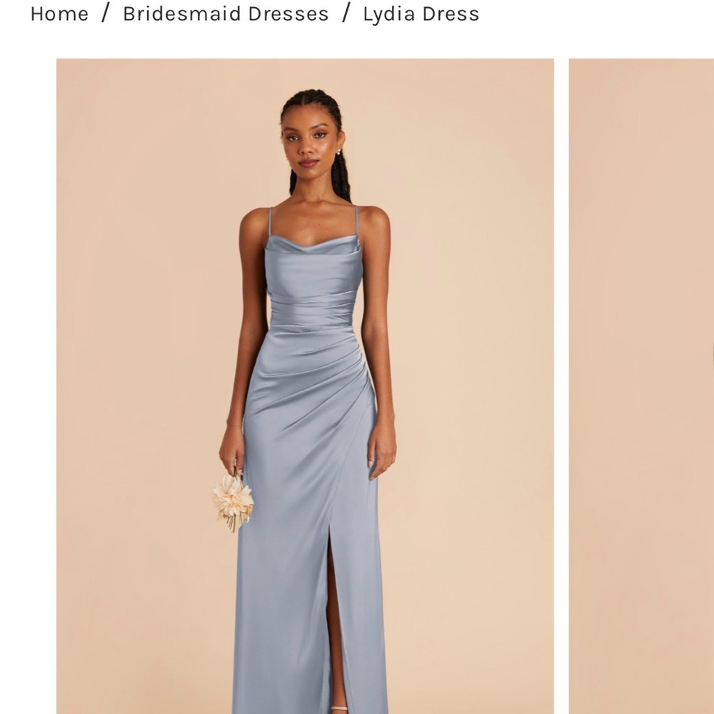 Birdy Grey Lydia Dress in dusty blue
